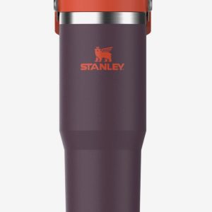 Stanley IceFlow Go Flip Straw Tumbler 30 oz / 870 ml – Plum