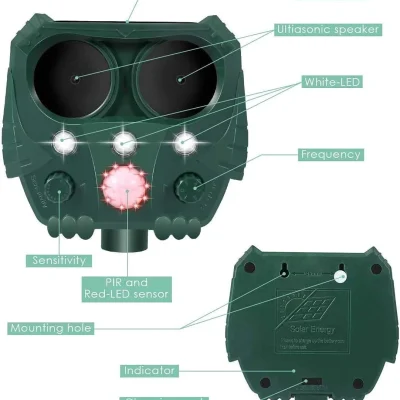 61xuodvPQ3L. SL1162 .jpg