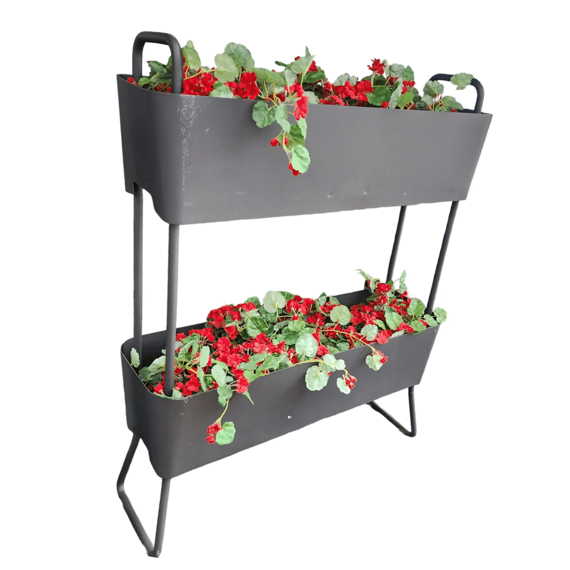 Greens duo plant set with water tray - Image 4