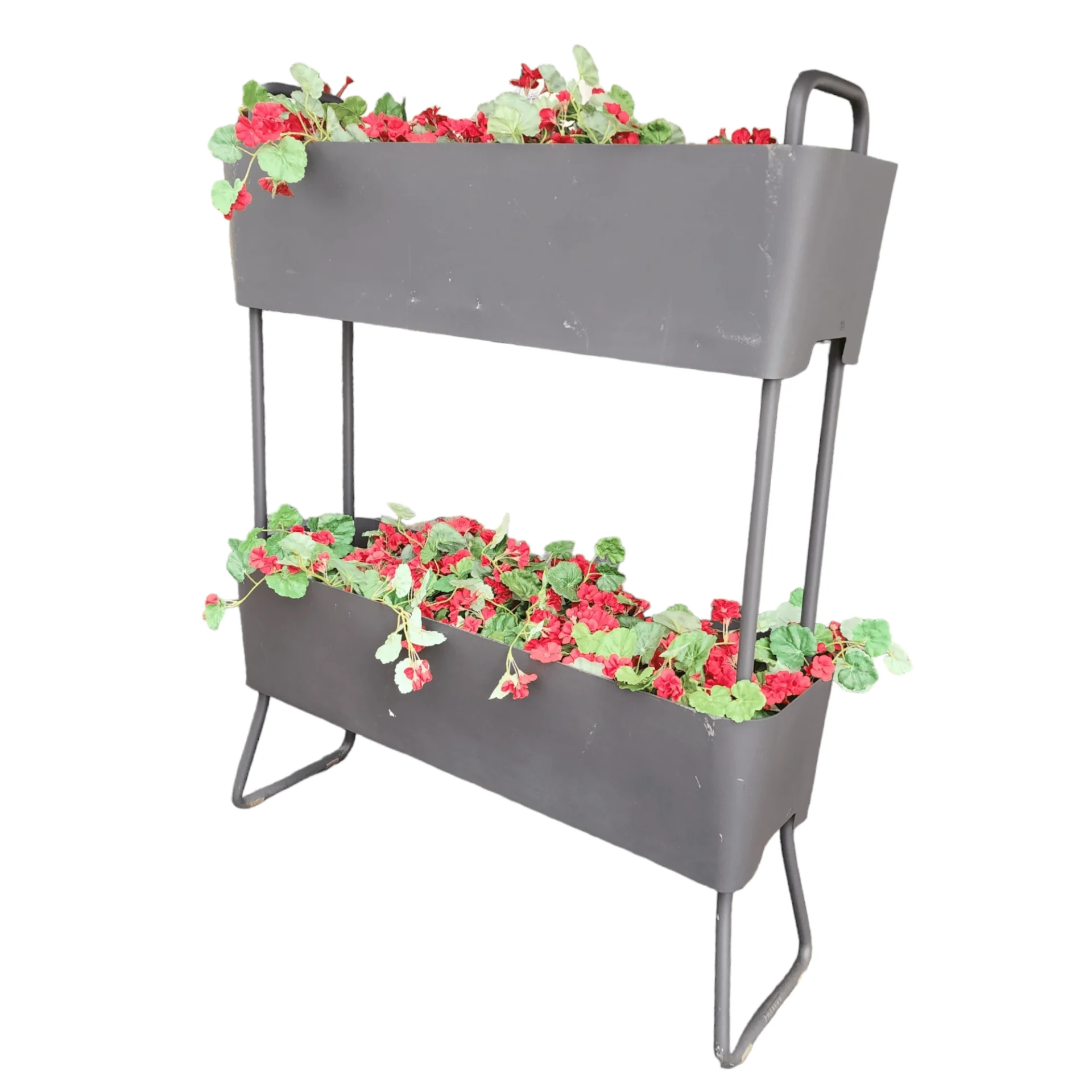 Greens duo plant set with water tray - Image 3