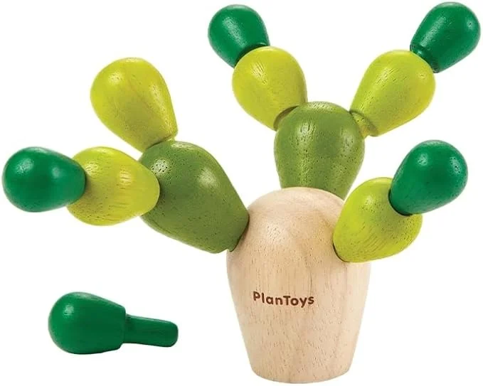 Preschool Fun Colorful Cactus