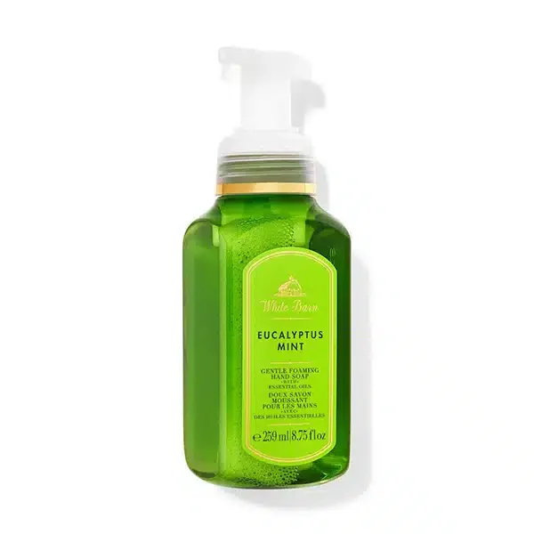 Eucalyptus Mint Gentle Foaming Hand Soap